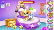 Kids Learn How to Take Care of Cute Little Pets | My Cute Little Pet Puppy Care Kids Games