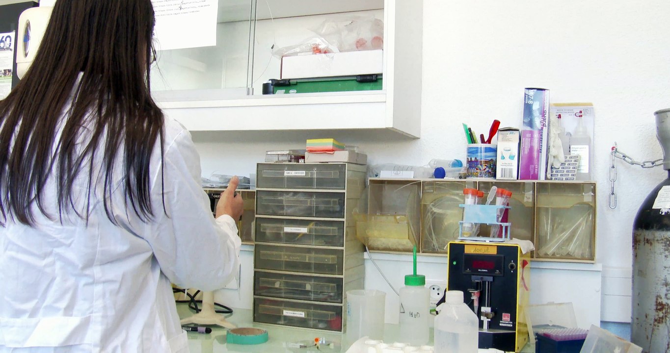Voeux 2017 de faculté de médecine de Nice - Laboratoire de recherche - Sciences - Mannequin Challenge