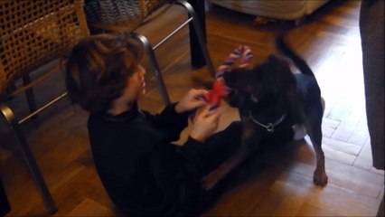 Je suis seul à la maison