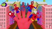 Finger Family Collection|Superman Vs Batman(Hulk Vs Spiderman)Spiderman Vs Venom FingerFamily Songs