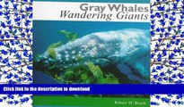 Audiobook Gray Whales, Wandering Giants On Book