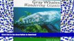 Audiobook Gray Whales, Wandering Giants On Book