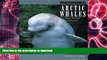 Pre Order The World of the Arctic Whales: Belugas, Bowheads, and Narwhals Full Book