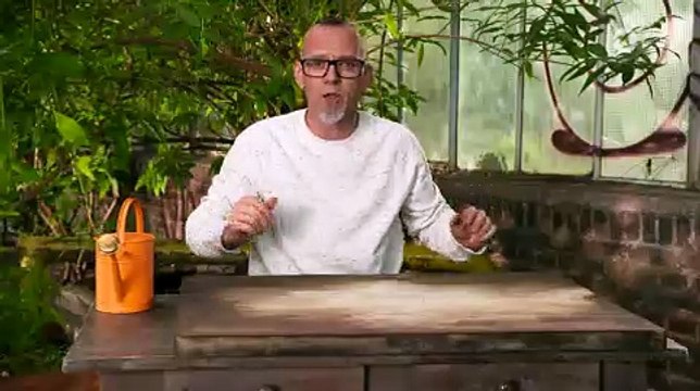 Das Geheimnis der Moore | Wissen vor Acht: Natur | Das Erste