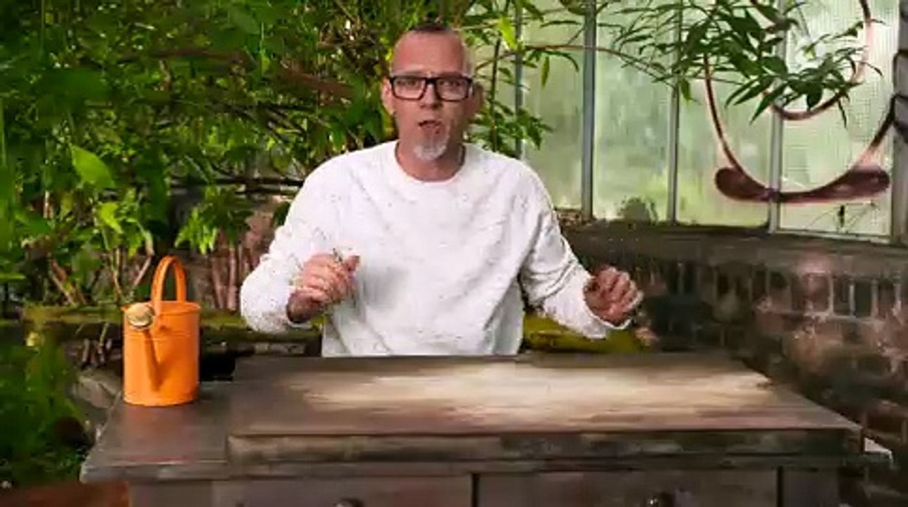 Das Geheimnis der Moore | Wissen vor Acht: Natur | Das Erste