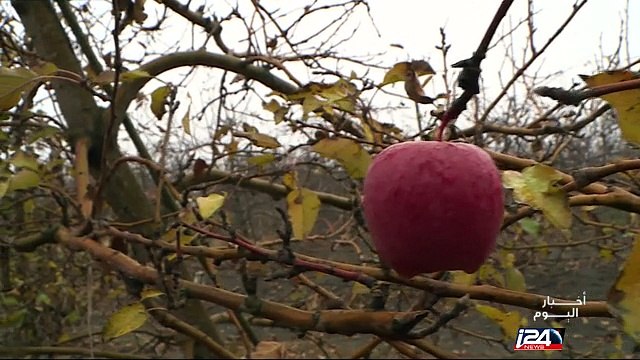 قلق يسود سكان هضبة الجولان م ناقتراب ايران وحزب الله من الحدود الاسرائيلية