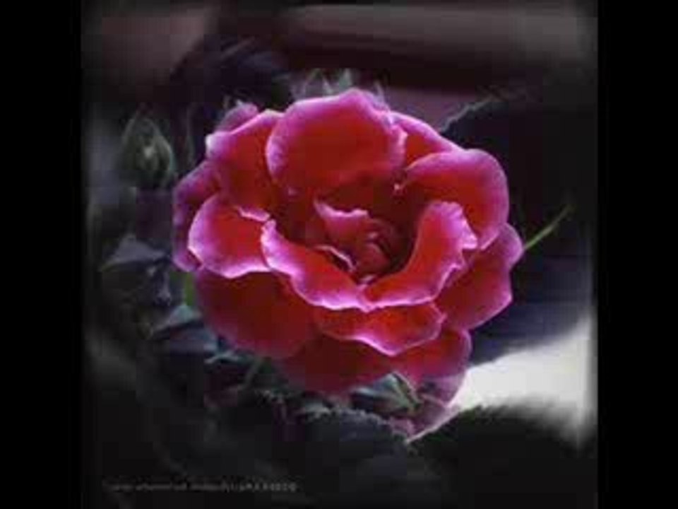 L'Amour en communion