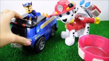 PAW PATROL ITALIANO Chase e Marshall salvano due bambini giocattoli Toys Episodi completi