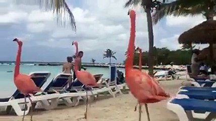 когда тебя не приглашали, а ты пришел