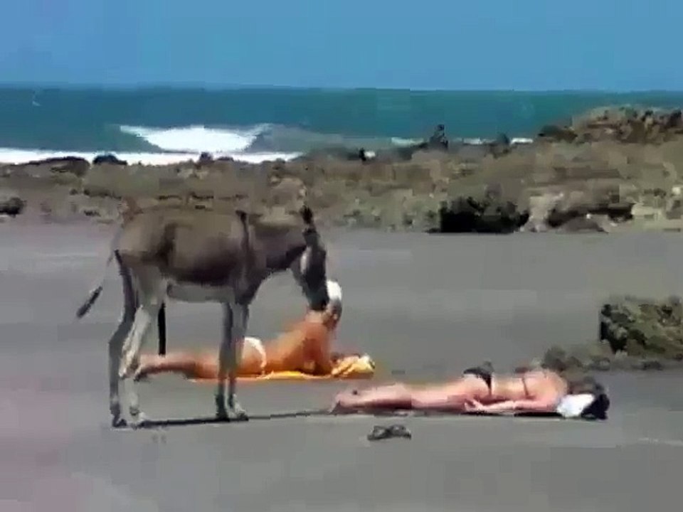 любовь нечаянно нагрянет