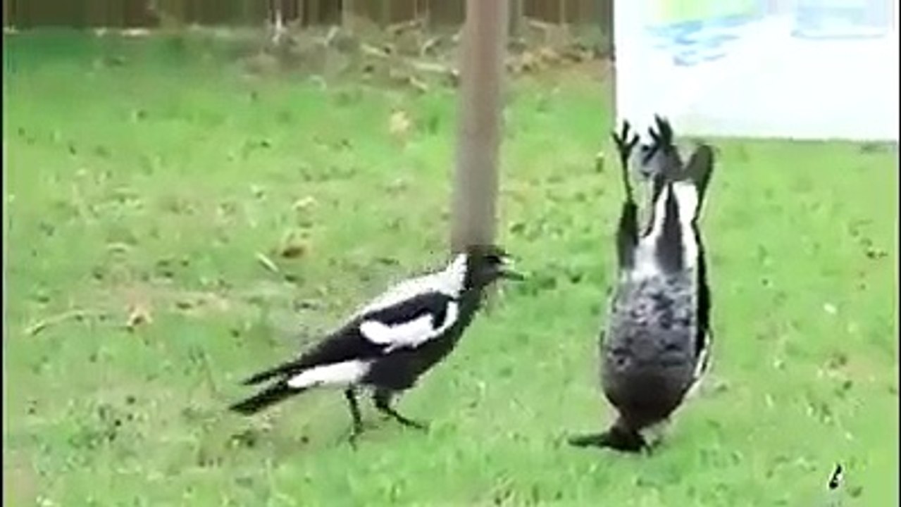 НЕ БУДЬ КАК ВСЕ