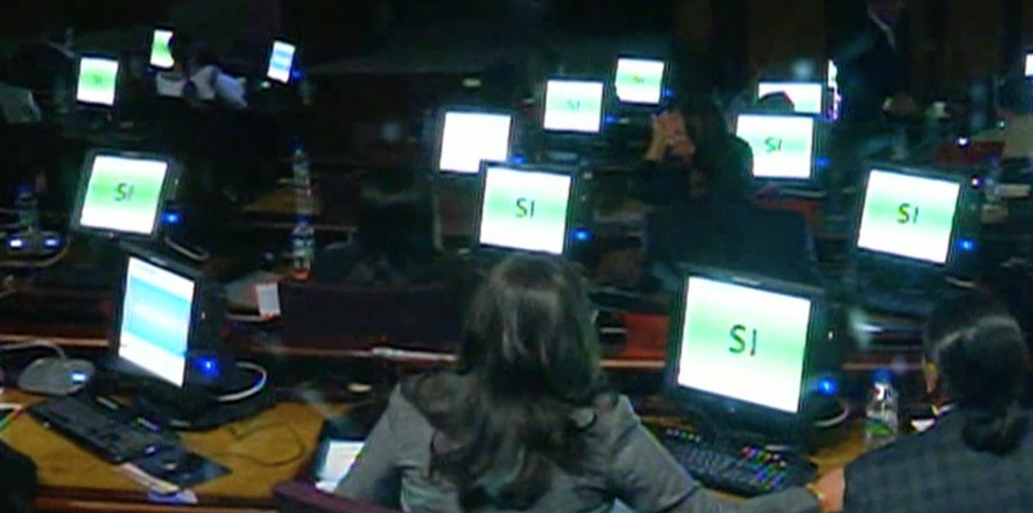 Asamblea ratifica prohibición de espectáculos donde muera un animal