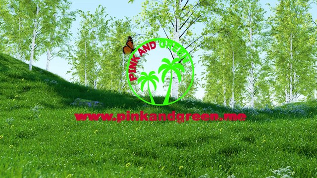 Landscaping Services | 954-744-0903 | Pink and Green Lawn Care and Landscape