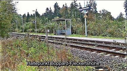 Auf großer Tour durch Fleckertshöhe