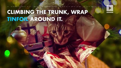 5 easy ways to cat-proof your Christmas tree
