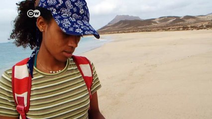 Organization works to rescue sea turtles | DW News