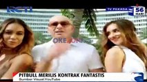 Jadi Duta Pariwisata, Pitbull Dikontrak US 1M