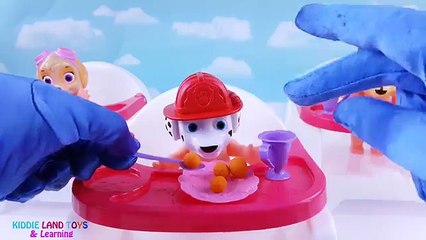 Paw Patrol Babies Skye Chase Marshall Potty Training Feeding Tea Party Pretend Play Fun Video