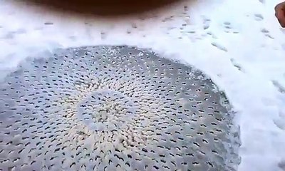 Menduan se ishte diçka e çuditshme në akull por...