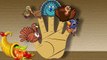 Finger Family Turkey Family | Thanksgiving Finger Family Songs