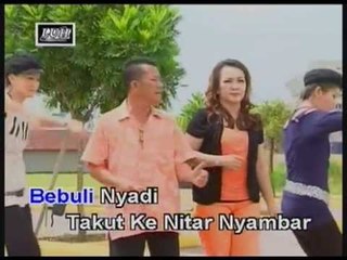 Temati Kutu - Wilson & Stella Philip