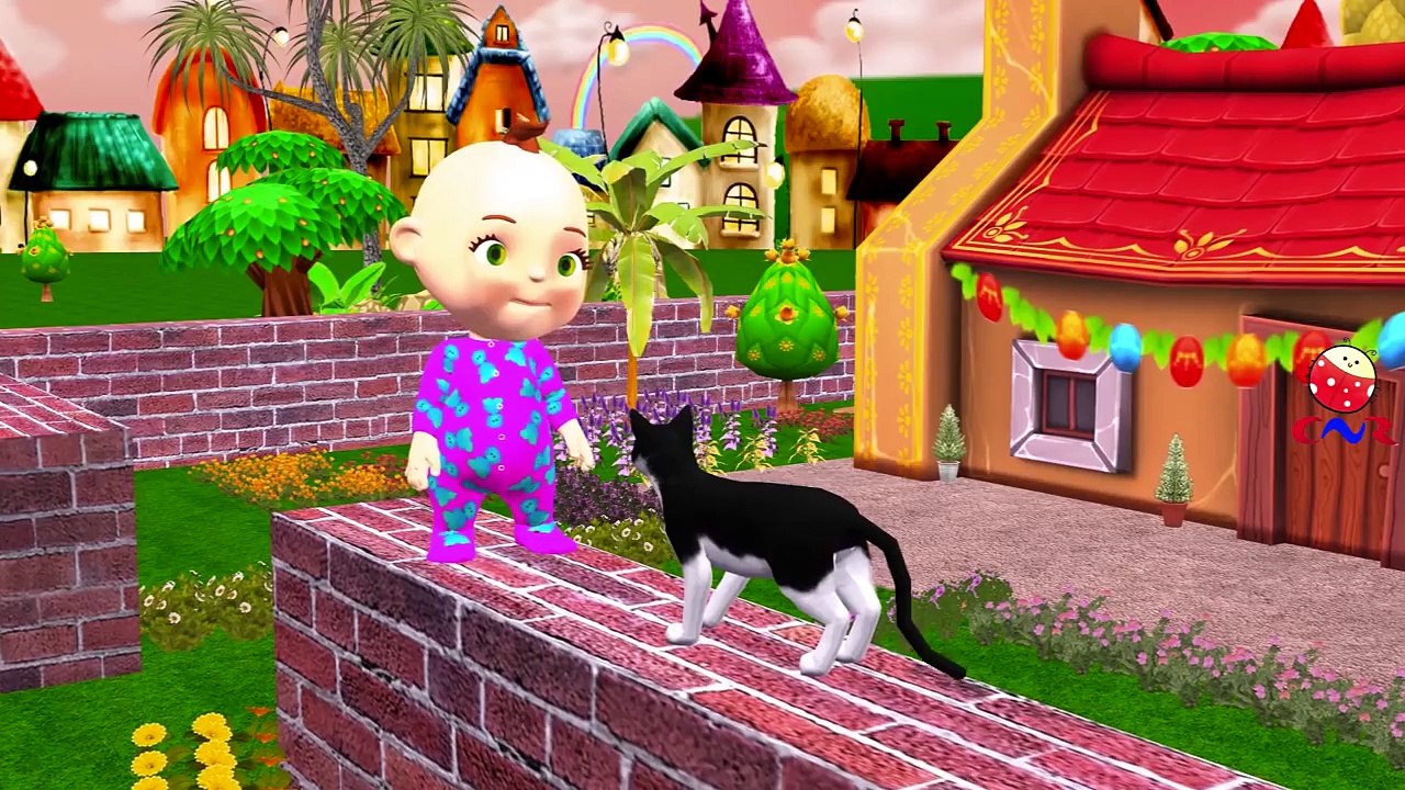 Dog Finger Family Nursery Rhymes | Funny Cats Compilation Little Baby Boy Finger Family Collection