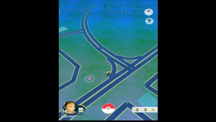 Pokemon Go- Igglybuff & Pichu