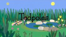 Ben and Hollys Little Kingdom || Tadpoles