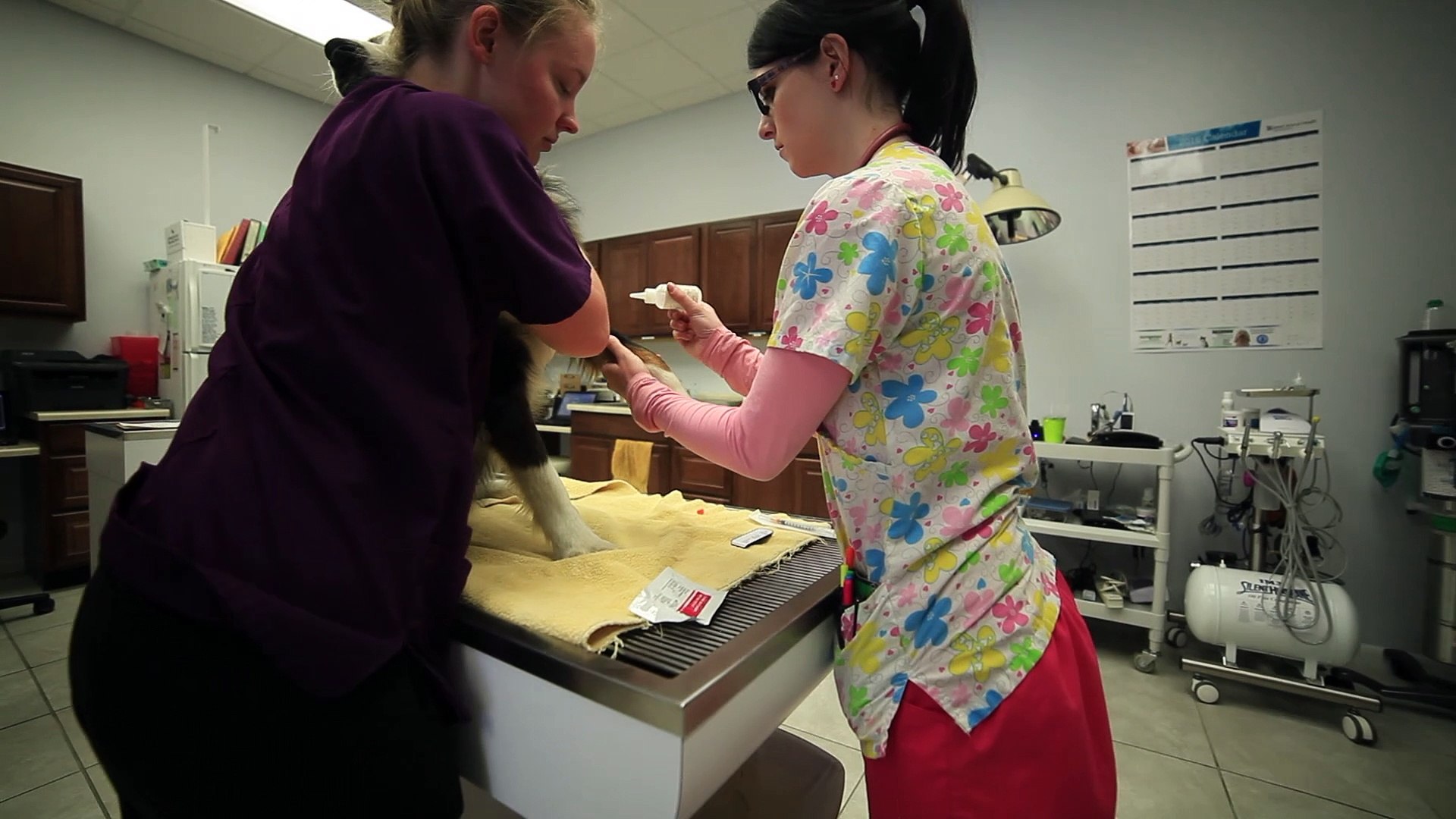 ⁣Welcome to Utah Veterinary Hospital
