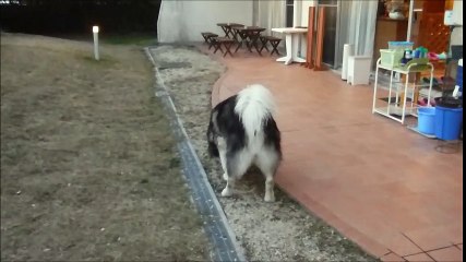 ホテルでまったり