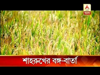 Shah Rukh  promotes Bengal  through a new advertisement