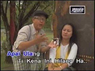 Apek Bisi Batu Burung