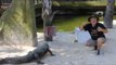 Gator Enthusiast Tries Out Cosplaying in the Enclosure