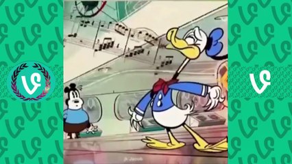 Dank Memes Vine Compilation V5