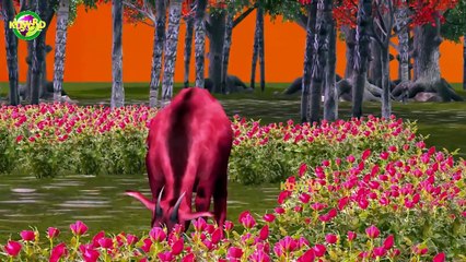 Animals Finger Family Rhymes || Finger Family Rhymes Cartoon 3D ANimated For Children