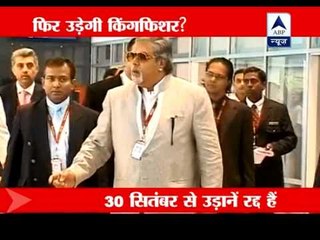 Employees resume work, but will Kingfisher fly again?