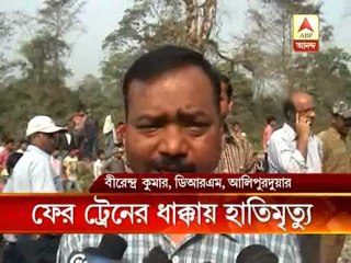 elephant  ran over by train in Dooars