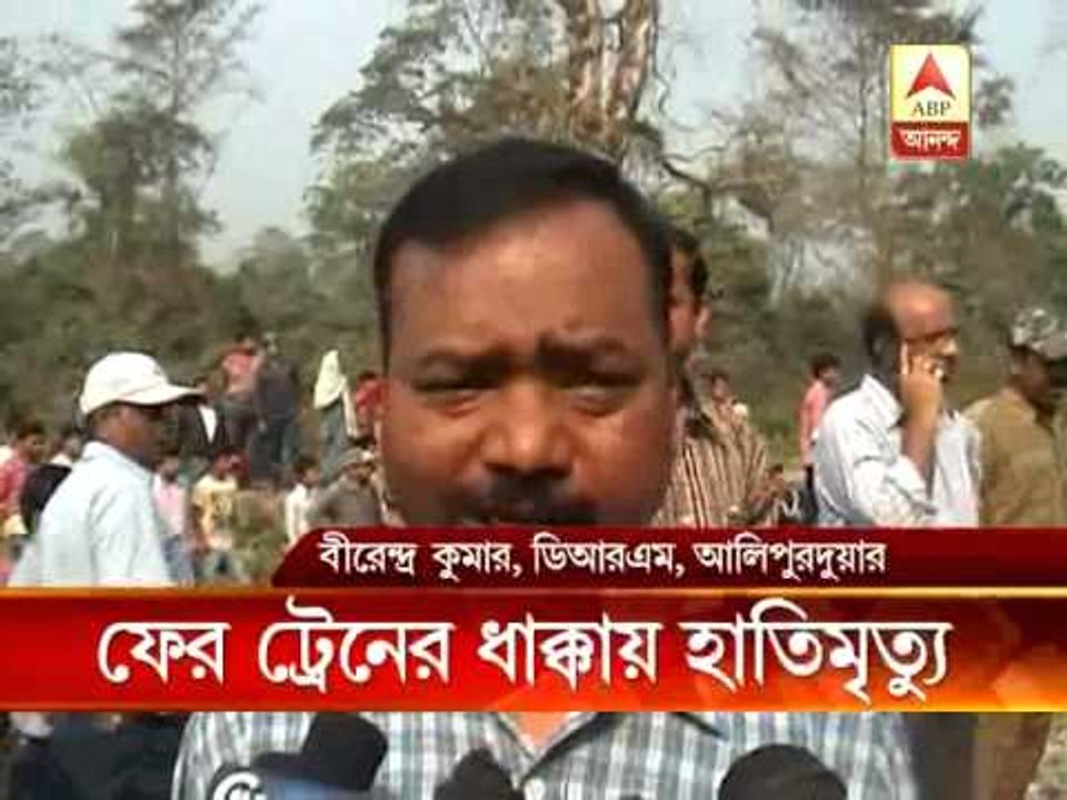 elephant  ran over by train in Dooars