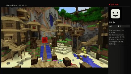 Minecraft mini games (5)