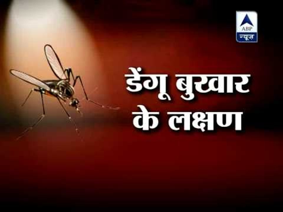 Delhi fears dengue, 720 cases and counting