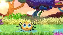 Incy Wincy Spider Climbed Up The Water Spout - Popular Nursery Rhymes Collection I Children Songs
