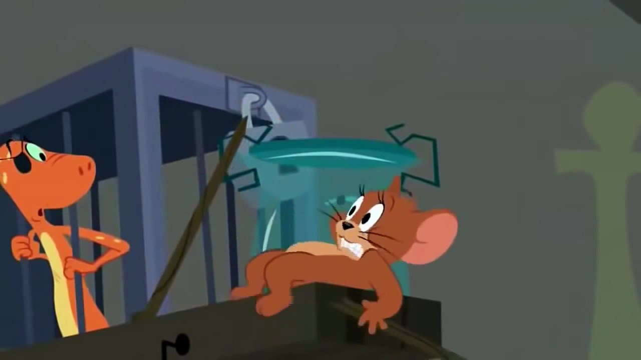 TOM I JERRY po Polsku Nowe Odcinki 2015 Bajki Dla Dzieci  part 2