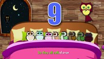 Ten Owls In The Bed | Ten In The Bed Nursery Rhymes Cartoon Animation Songs With Lyrics for Kids