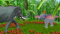 Colors Elephant Colors Gorilla Finger Family | Dinosaurs King Kong Finger Family Rhymes Collection