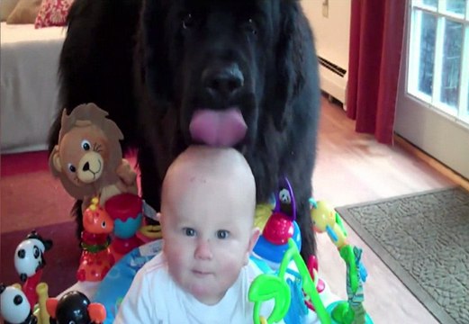 Funny Pet Video Compilation | Cutest Animals 2017 | Funny Cat and Dog Videos! Epic Cats and Dogs!