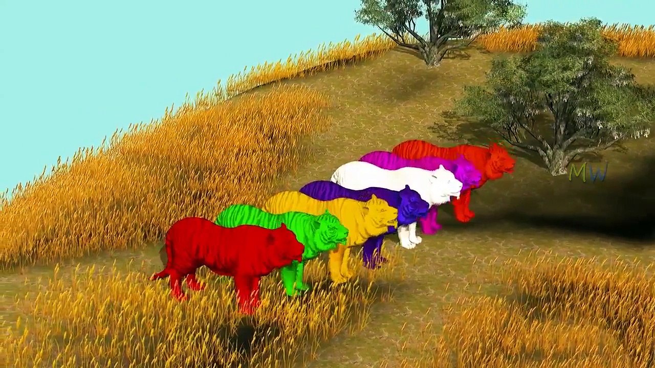 Colors Dinosaur Vs Tiger Vs Bear Kids Cartoon Video Color Gorilla T Rex Attack Kids 3D Action Movie