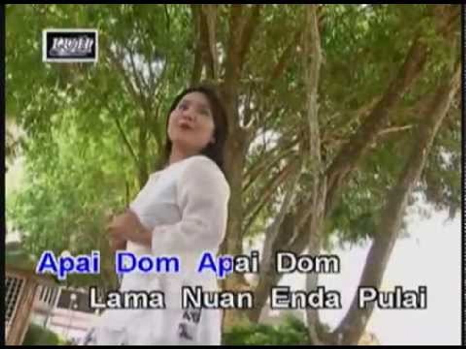 Apai Dom