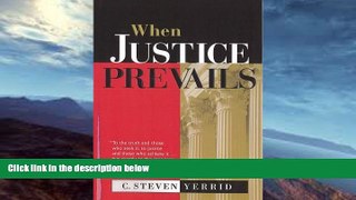 Buy  When Justice Prevails C. Steven Yerrid  Full Book