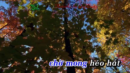 Đường Về Quê Hương | Quang Lê | Karaoke Beat Phối HD