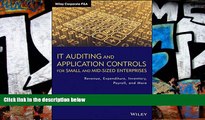 Buy Jason Wood IT Auditing and Application Controls for Small and Mid-Sized Enterprises: Revenue,
